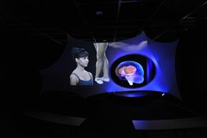 © AMNH/D. Finnin