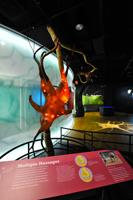 neurone-mostra-brain-museo-storia-naturale-milano