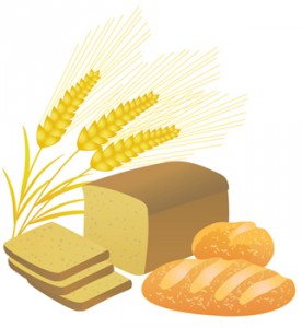 spighe-grano-pane-©-Iris828-_-Dreamstime.com---Bread-And-Wheat-Spikelets,-Illustration-Photo