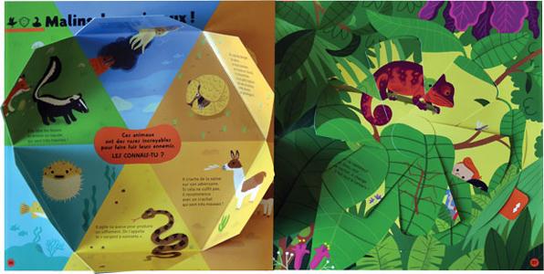 libro-pop-up-degli-animali-interno
