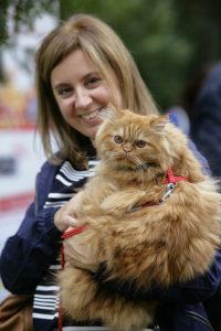 a-scuola-di-per-care-purina-festa-gatto