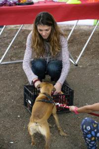 a-scuola-di-pet-care-purina-gioco-cane
