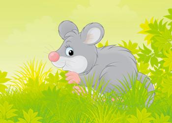 topolino-prato-verde