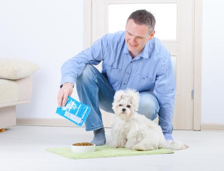 alimentazione pappa cane