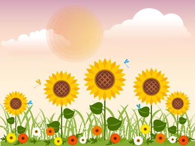 illustrazione estate girasoli prato Anan-Punyod-Dreamstime
